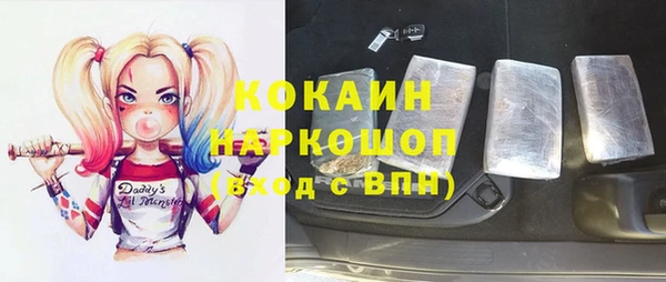 ешки Корсаков