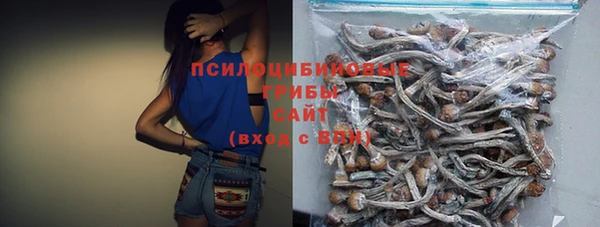 гидра Кодинск