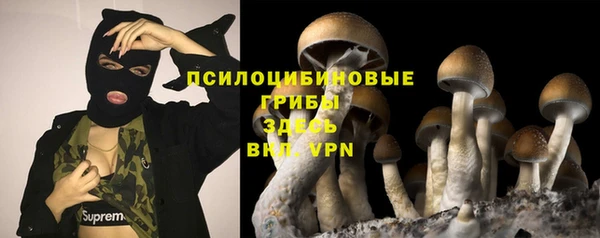 гидра Кодинск