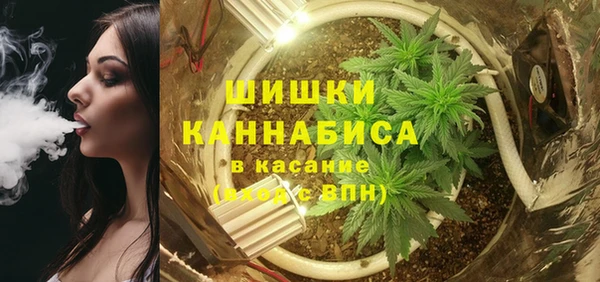 прущий лед Козловка