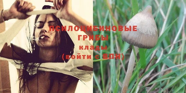 a pvp Козельск