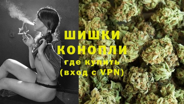 ешки Корсаков