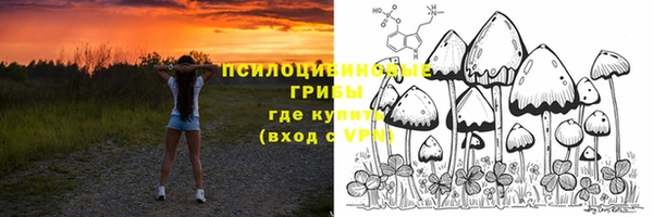 прущий лед Козловка