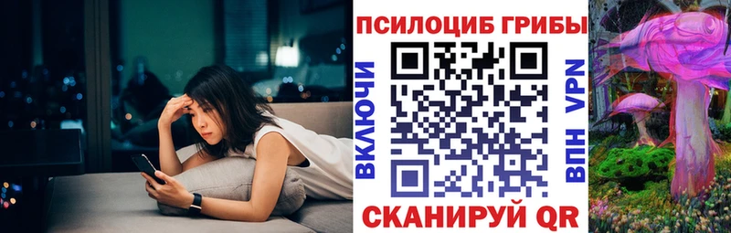 Псилоцибиновые грибы Psilocybine cubensis  Курчатов 